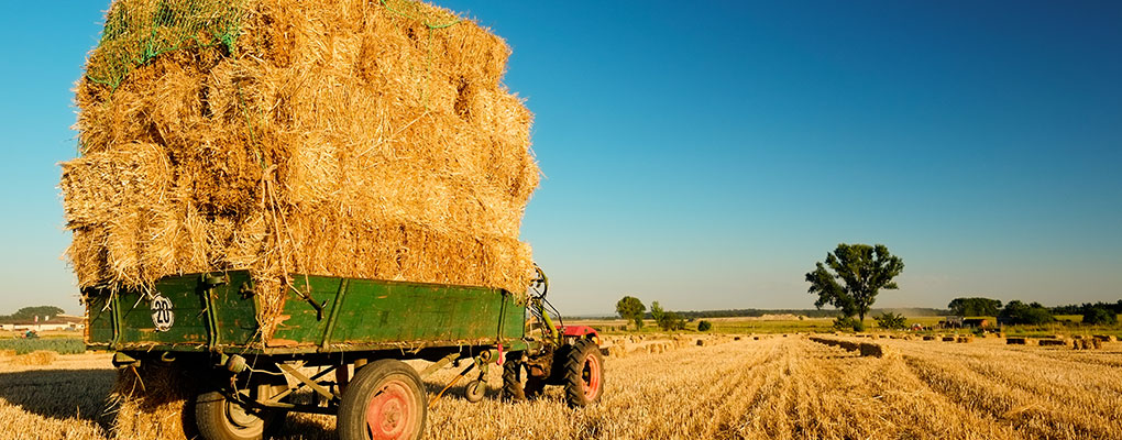 Tracteur d'occasion Pau